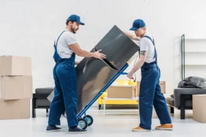 Top Movers in Montreal: Your Ultimate Guide to Stress-Free Relocation